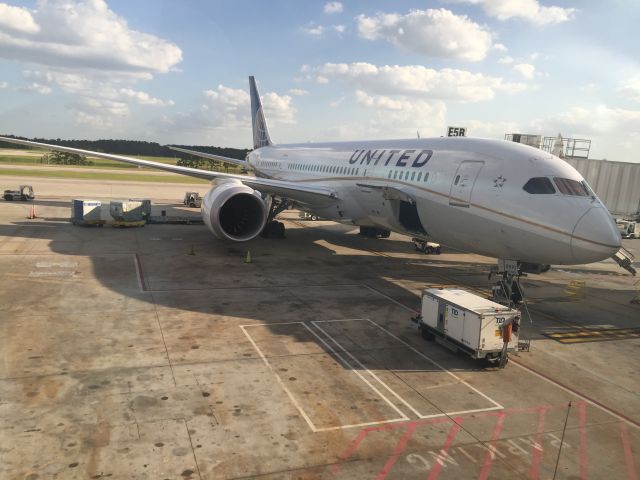 Boeing 787-8 —