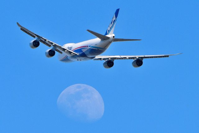 BOEING 747-8 (JA16KZ) - 05/14/2019