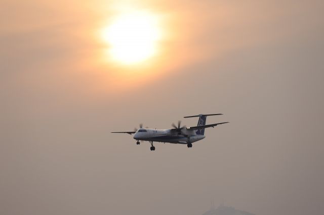 de Havilland Dash 8-400 (JA841A) - March 4th 2019:CTS-HKD.