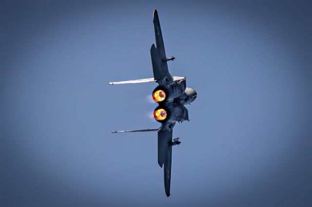 McDonnell Douglas F-15 Eagle (0715)
