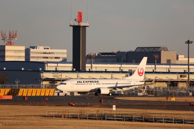 Boeing 737-800 (JA307J)