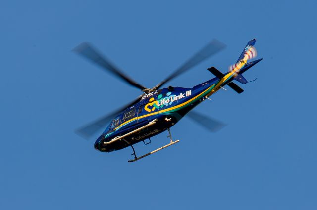 DENEL Koala (N356LL)