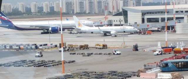 Boeing 737-800 — - Sundor Boeing 737-800 and Aeroflot Boeing 777