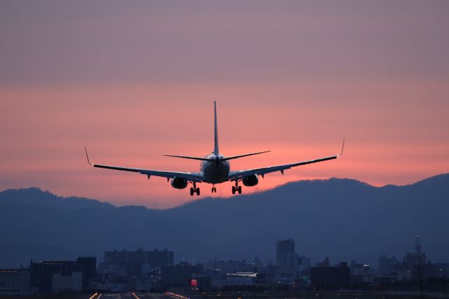 Boeing 737-800 (JA338J) - April 27th 2021:HND-HKD.