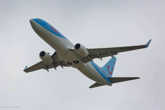 Boeing 737-800 (OO-TUK)