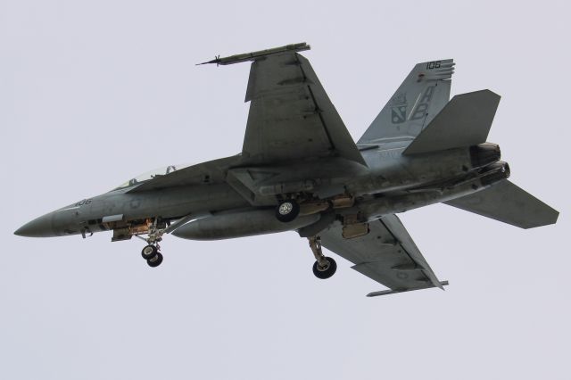 McDonnell Douglas FA-18 Hornet —