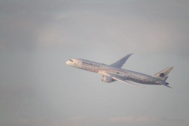 Boeing 787-9 Dreamliner (XA-ADL) - DEPARTURE FROM 27 MMTJ