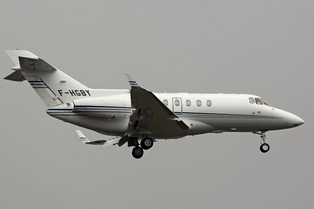Hawker 800 (F-HGBY) - TEFAF 2010 VISITOR.