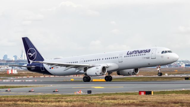 Airbus A321 (D-AIDG)