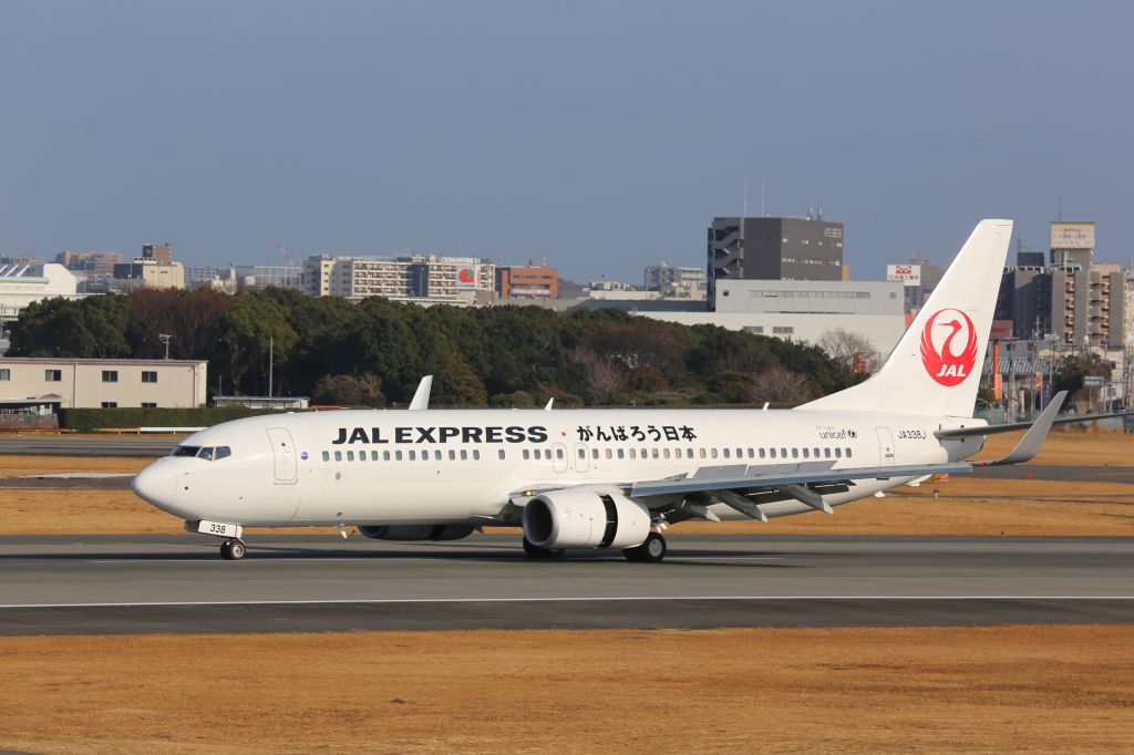 Boeing 737-800 (JA338J)