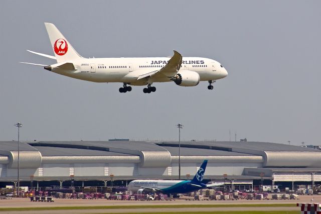 Boeing 787-8 (JA833J)