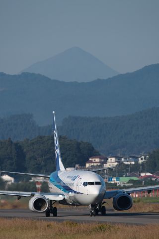 Boeing 737-800 (JA88AN)