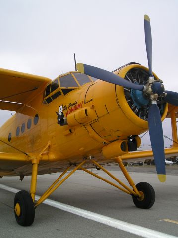 Antonov An-2 — - AN-2 at Watsonville airshow on Memorial weekend 5-24-09.