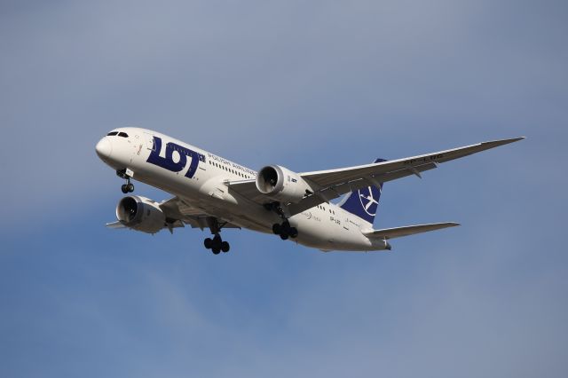 Boeing 787-8 (SP-LRG)