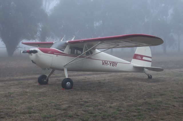 Cessna 140 (VH-YBY)