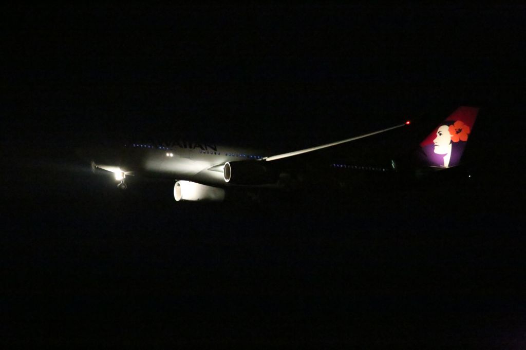 Airbus A330-200 (N393HA)