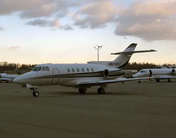 Hawker 800 (N828PJ) - Great biz jet with stand up cabin. No location as per request of the aircraft owner.