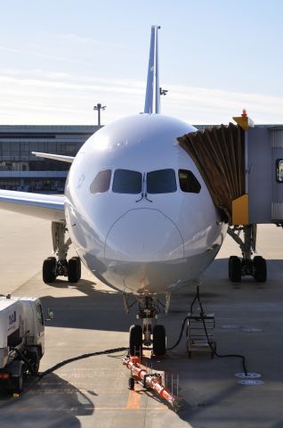 Boeing 787-8 (JA814A) - 2013/1/4