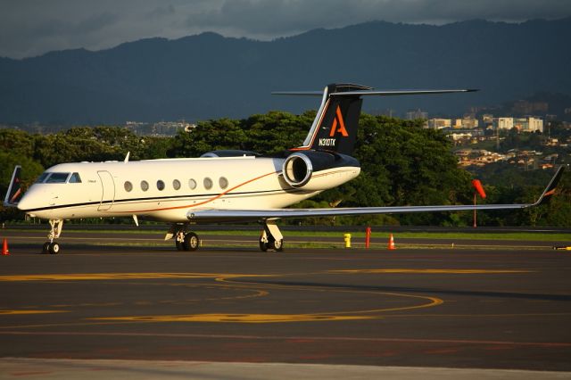 Gulfstream Aerospace Gulfstream V (N310TK)