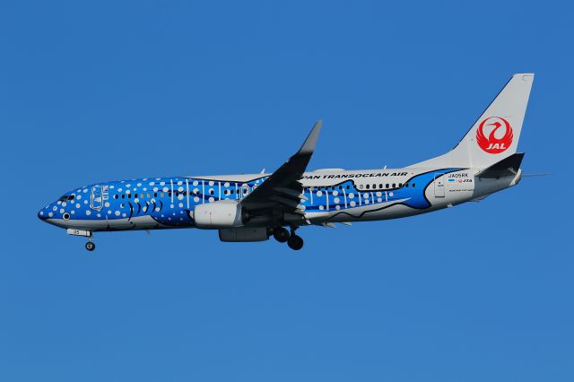 Boeing 737-800 (JA05RK)