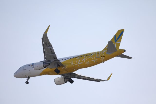 Airbus A320 (JA10VA) - 15 March 2017:NRT-HKD.
