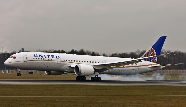 Boeing 787-8 (N29961) - Landing at Frankfurt / Main Airport Dreamliner from United