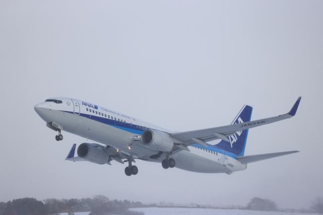 Boeing 737-800 (JA62AN) - December 19th 2020:HKD-ITM.