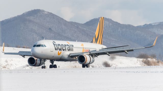 Airbus A320 (B-50006) - タイガーエア 台湾 (Tigerair Taiwan) / Airbus A320-232br /Feb.19.2017 Hakodate Airport [HKD/RJCH] JAPAN