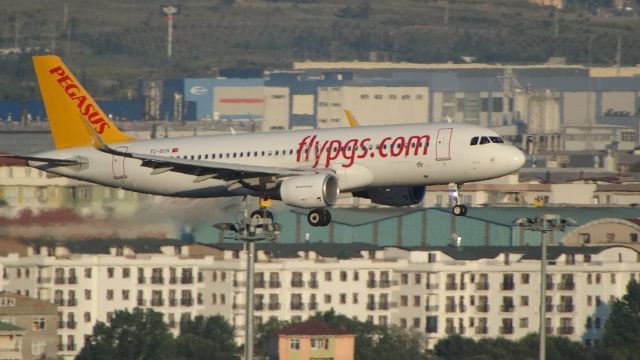 Airbus A320 (TC-DCH)