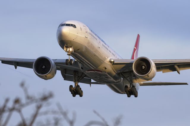 BOEING 777-300 (TC-LKA) - 2nd February, 2022: The flight from Istanbul Havalimani seen on short finals to runway 27L at Heathrow Airport as she glides over the houses on Myrtle Avenue.