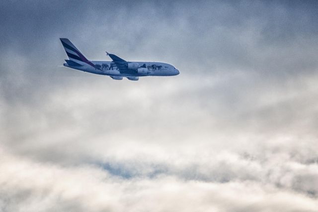 Airbus A380-800 (A6-EOM)