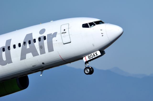 Boeing 737-800 (JA804X)