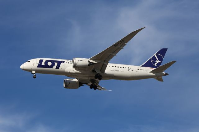 Boeing 787-8 (SP-LRG)