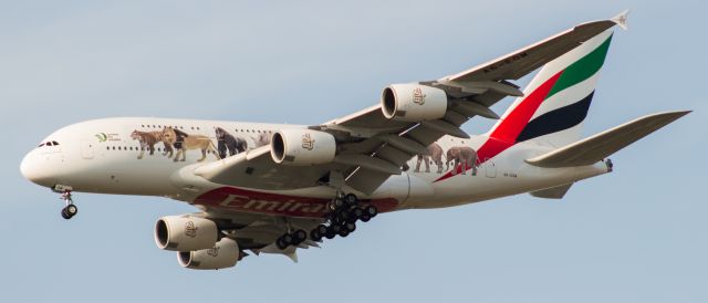 Airbus A380-800 (A6-EOM) - Finally get #Emirates #UnitedForWildlife livery! I wasn't going to be able to make it out to the airport in time so I pulled into the parking lot of the high school and #BAM it was right on me!