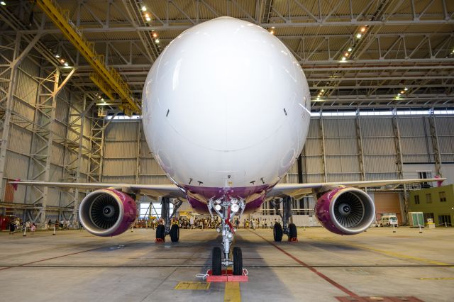 Airbus A320 (JA807P)