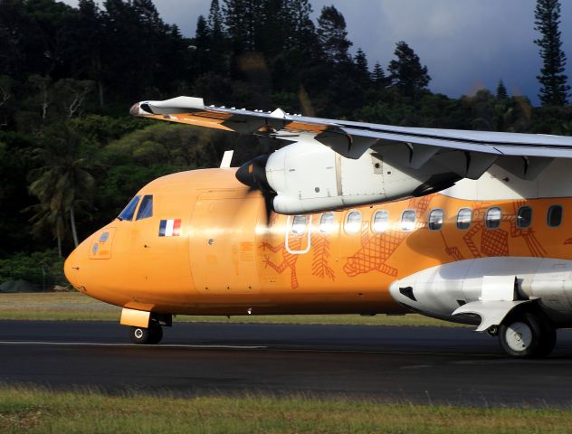 ALENIA Surveyor (ATR-42-500) (F-OIPI)