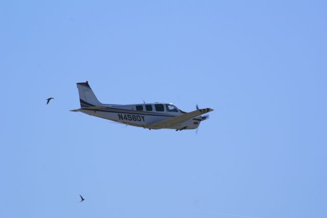 Beechcraft 35 Bonanza (N456DY) - BIRDS OF A FEATHER FLOCK TOGETHER!