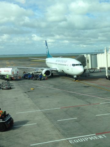 BOEING 737-300 (ZK-NGG) - ZK-NGG parked at gate 28 AKL