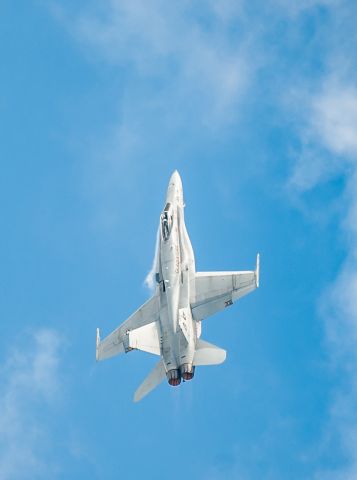 McDonnell Douglas FA-18 Hornet —