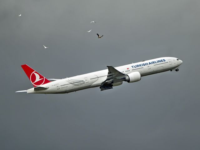 BOEING 777-300 (TC-JJP)