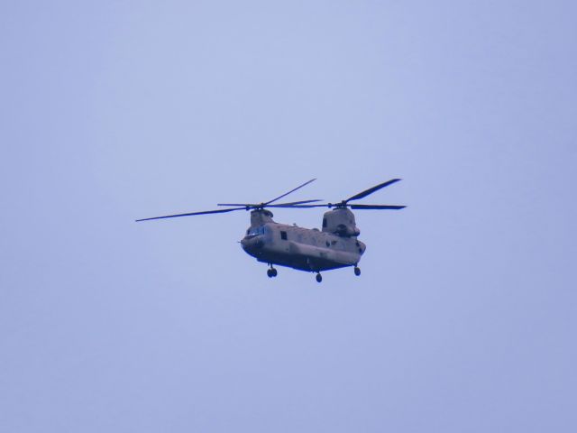 Boeing CH-47 Chinook (1208885) - FSM-IXDbr /06/14/23