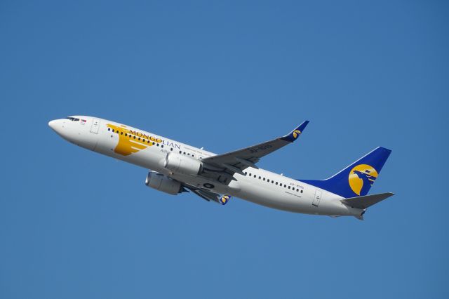 Boeing 737-800 (JU-1015)