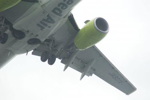 Boeing 737-800 (JA801X) - 羽田空港付近　船舶から