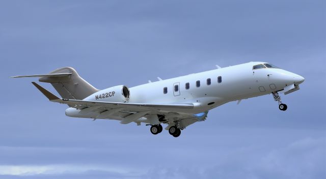 Bombardier Challenger 300 (N422CP)