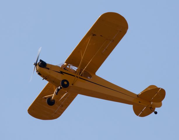 Piper L-21 Super Cub (N7378H)