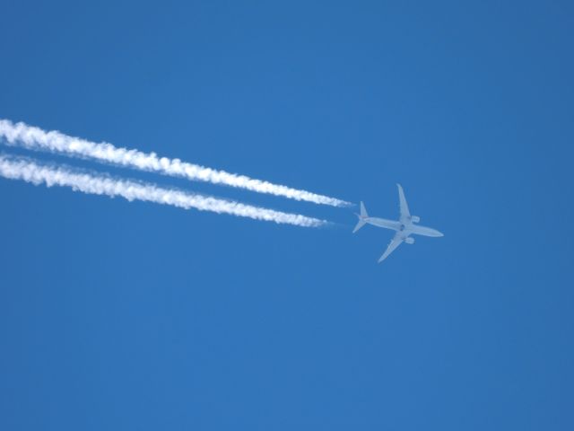 Boeing 737 MAX 8 (N308RD) - AAL2367br /06/06/21