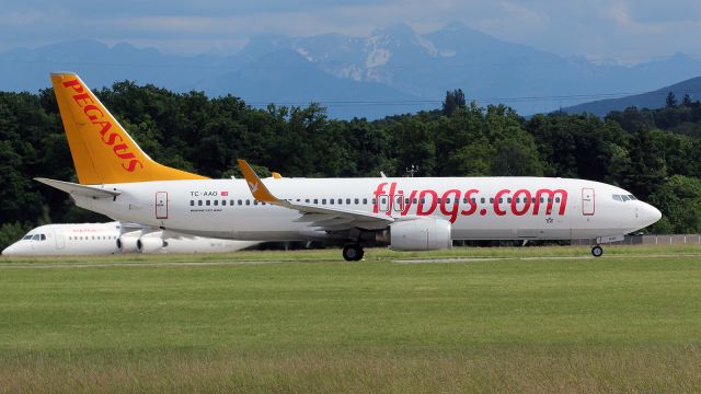 Boeing 737-800 (TC-AAO)