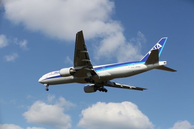 Boeing 777-200 (JA707A) - 01 November 2015: HND-HKD.