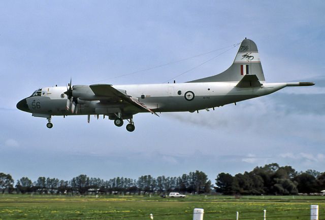 A9756 — - AUSTRALIA - AIR FORCE - LOCKHEED AP-3C ORION - REG A9-756 / 56 (CN 285D-5666) - EDINBURGH RAAF BASE ADELAIDE SA. AUSTRALIA - YPED (27/8/1984)