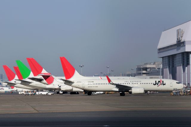 Boeing 737-800 (JA333J) - 2011/1/9br /a rel=nofollow href=http://amigoplane.blog.fc2.com/http://amigoplane.blog.fc2.com//a